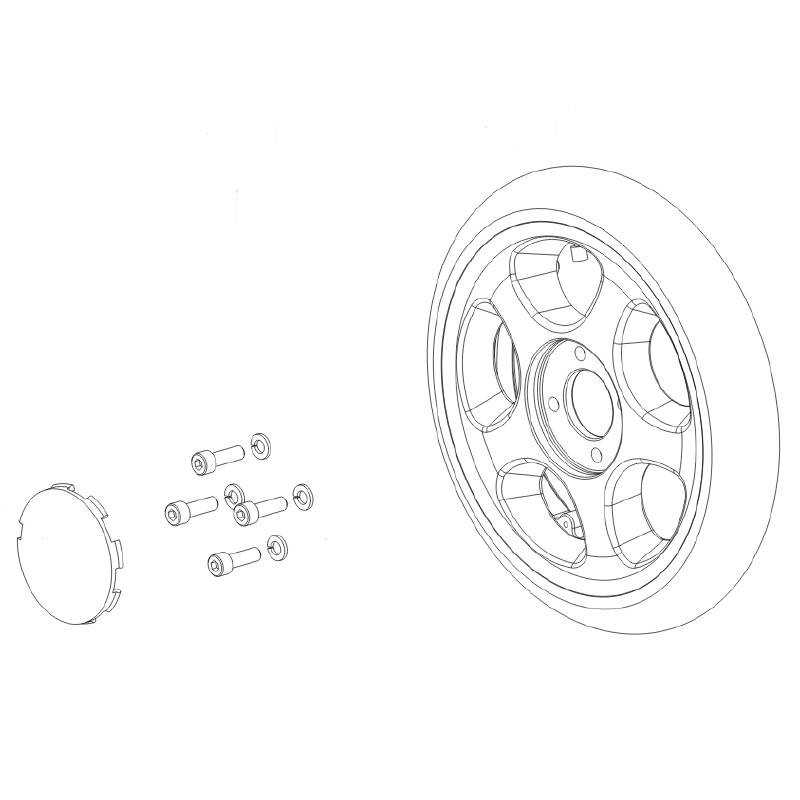 Rueda motriz 12,5'' Salsa R2