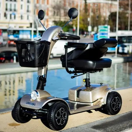 Scooter Eléctrico Cruiser