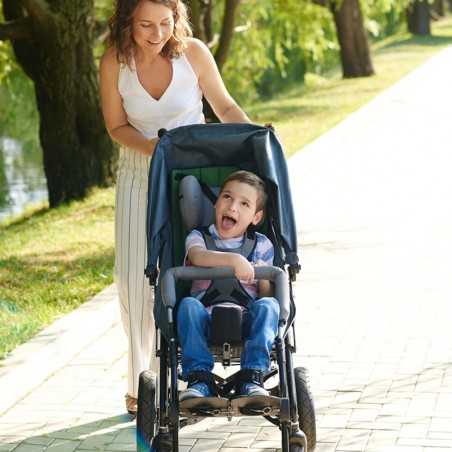 Silla de paseo Buggy ZIP