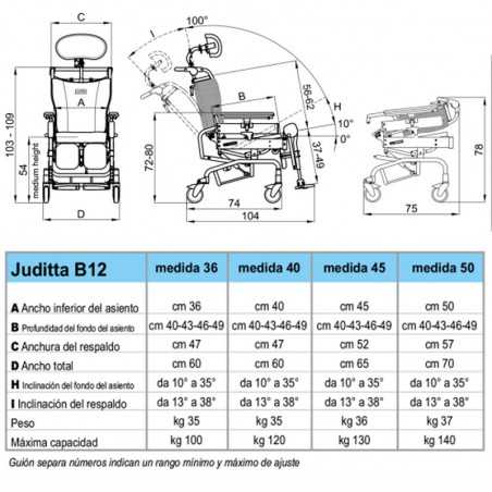 Silla de Ruedas Basculante Juditta