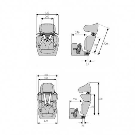 Silla Coche Infantil Carrot 3